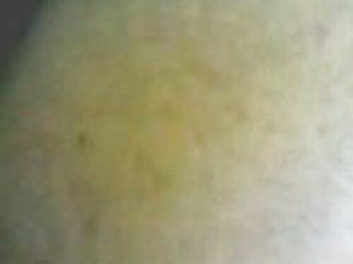 La rubia Masha acced ...